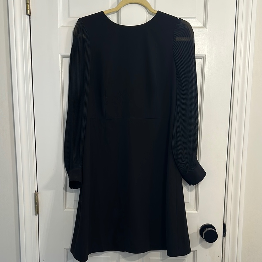 J. Crew Black Dress with Sheer Sleeves